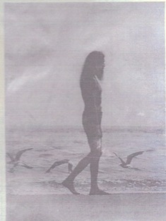Ken Klinkert - Walking on the Beach with Seagulls at Savannah Beach